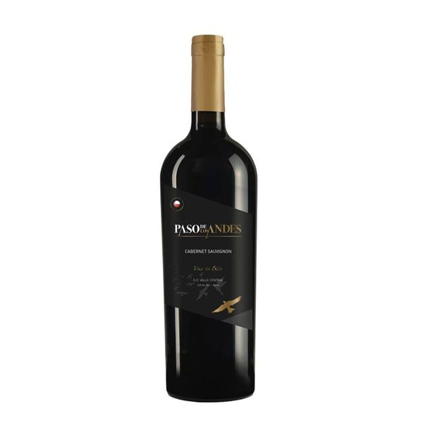 Vinho-Paso-De-Los-Andes-Varietal-750ml-Cabernet-Sauvignon